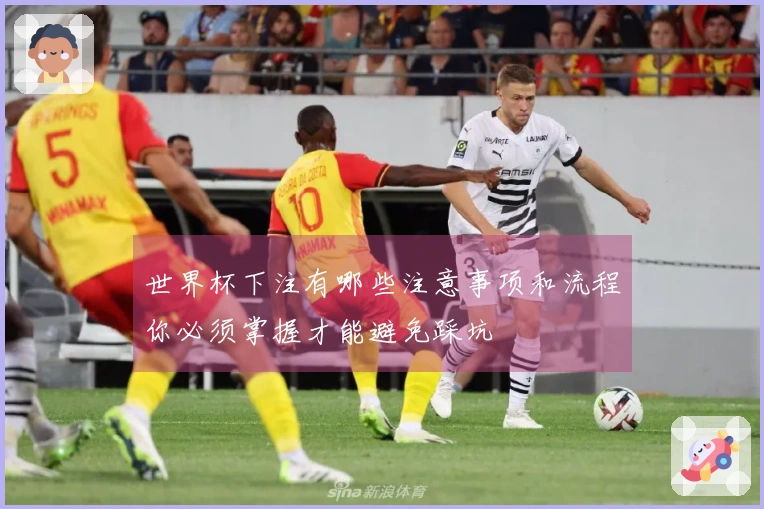 世界杯下注有哪些注意事项和流程你必须掌握才能避免踩坑