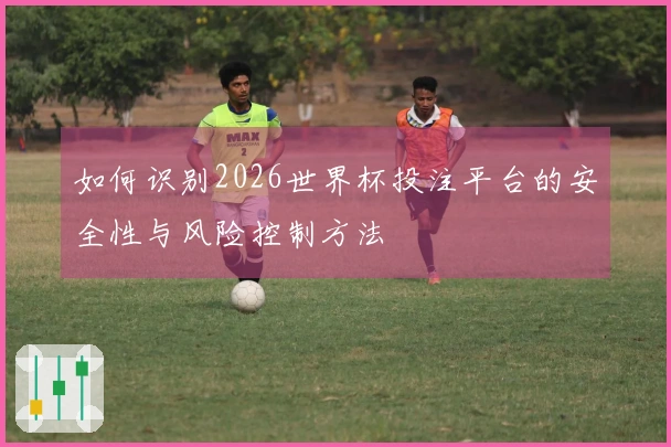 如何识别2026世界杯投注平台的安全性与风险控制方法