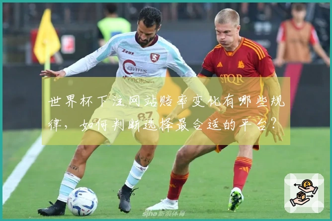 世界杯下注网站赔率变化有哪些规律，如何判断选择最合适的平台？
