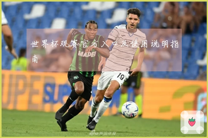 世界杯观赛官方入口及使用说明指南