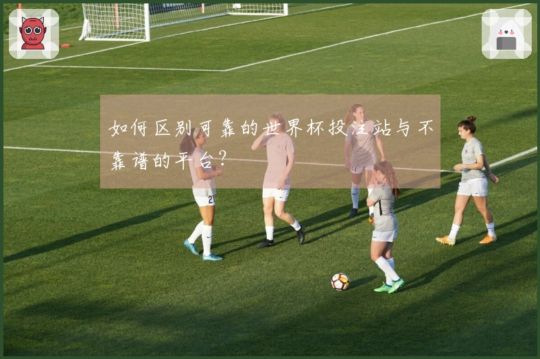 如何区别可靠的世界杯投注站与不靠谱的平台？