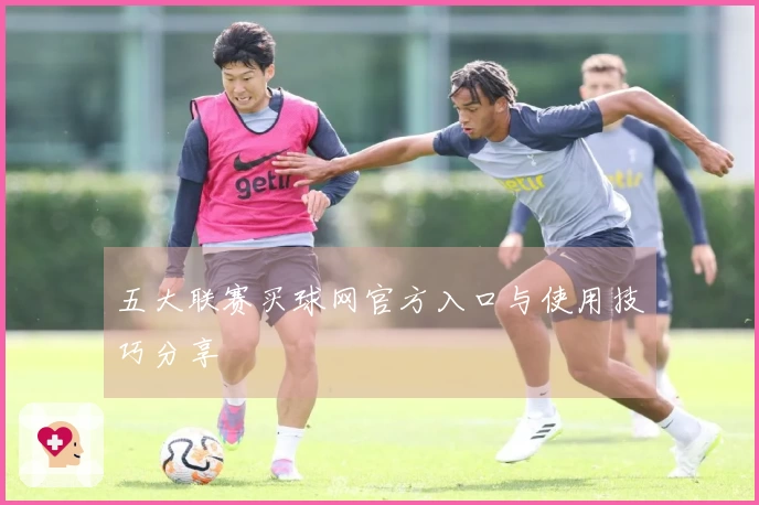 五大联赛买球网官方入口与使用技巧分享