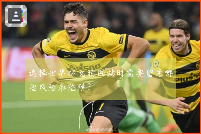 选择世界杯竞猜网站时需要留意哪些风险和陷阱？