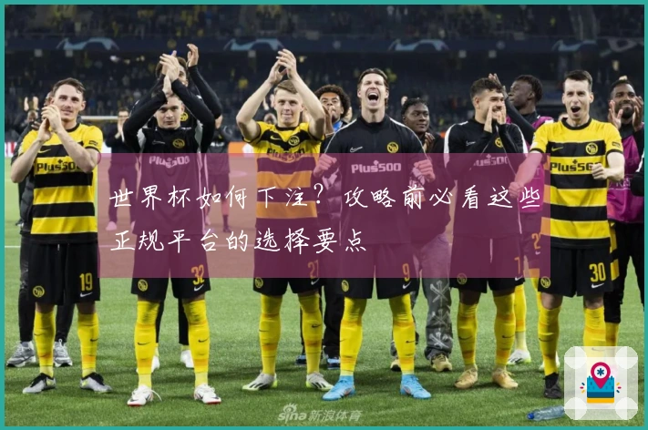 世界杯如何下注？攻略前必看这些正规平台的选择要点