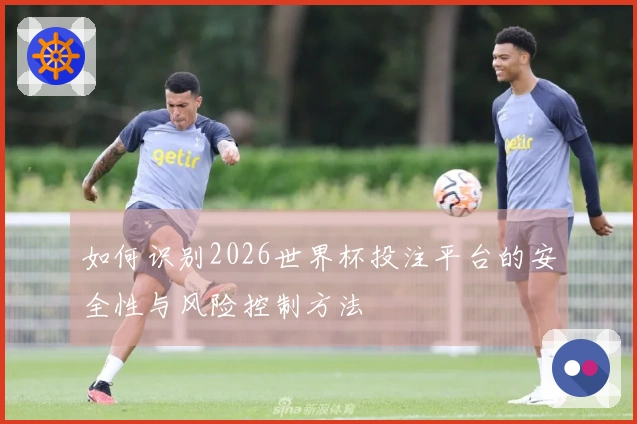 如何识别2026世界杯投注平台的安全性与风险控制方法