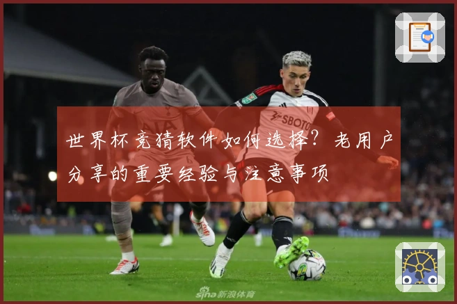 世界杯竞猜软件如何选择？老用户分享的重要经验与注意事项