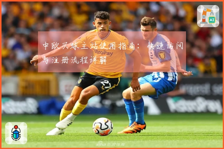 中欧买球主站使用指南：快速访问与注册流程详解