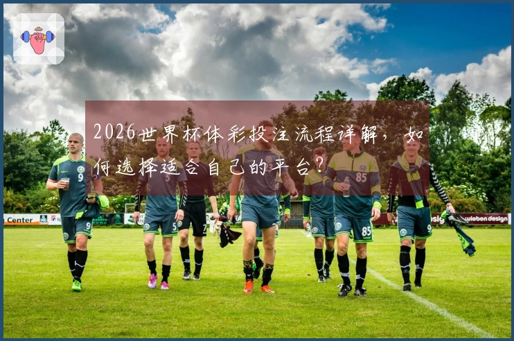 2026世界杯体彩投注流程详解，如何选择适合自己的平台？