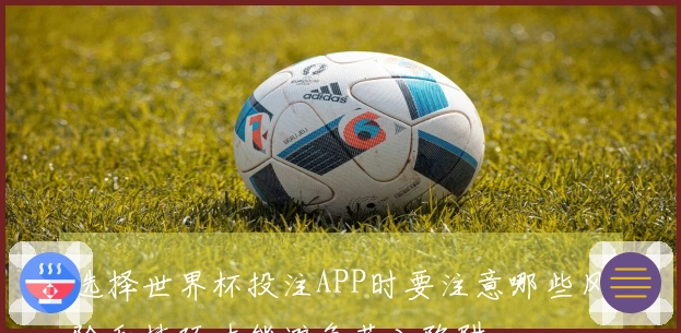 选择世界杯投注APP时要注意哪些风险和技巧才能避免落入陷阱