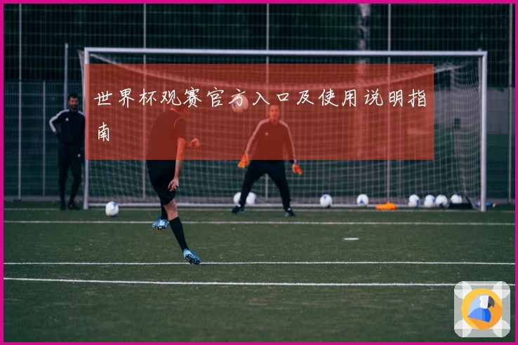 世界杯观赛官方入口及使用说明指南