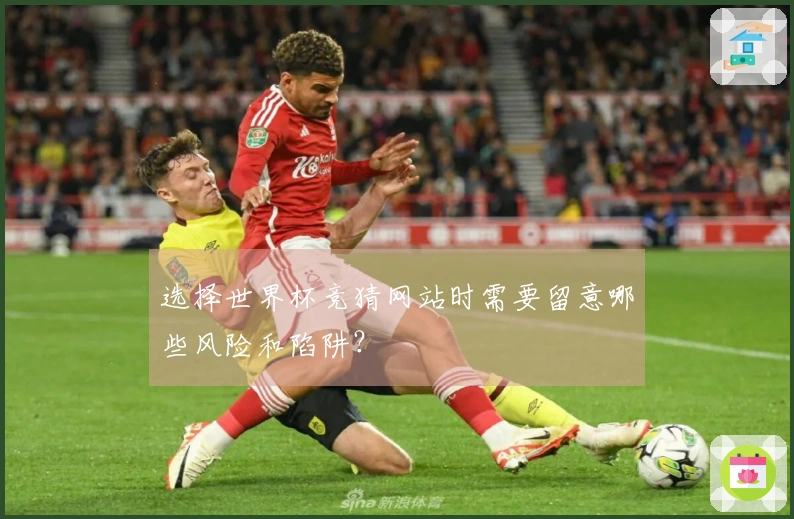 选择世界杯竞猜网站时需要留意哪些风险和陷阱？