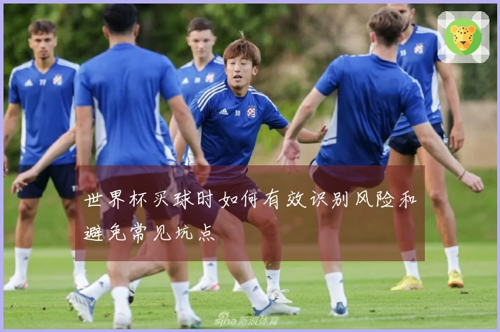 世界杯买球时如何有效识别风险和避免常见坑点